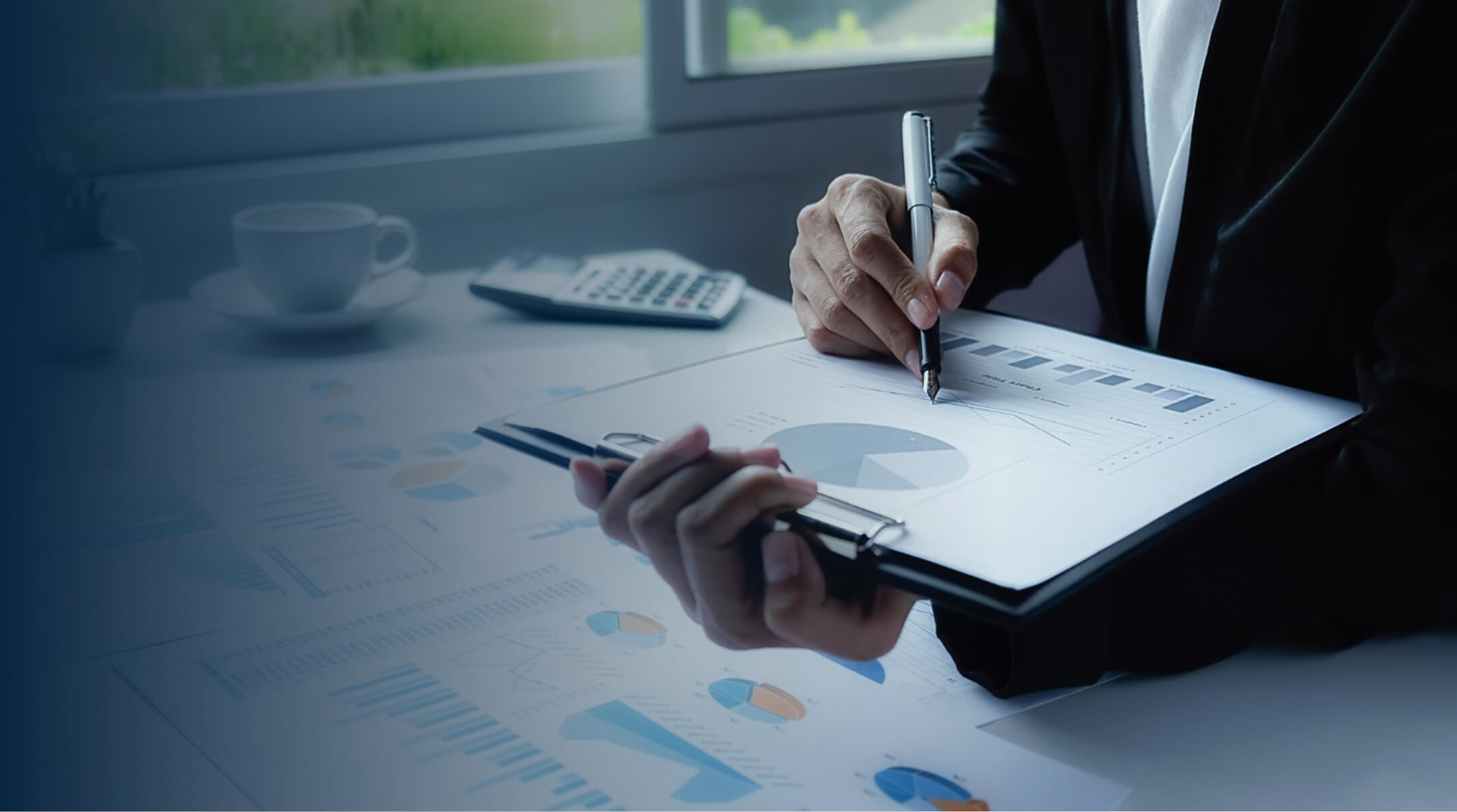 Professional Accounting Services